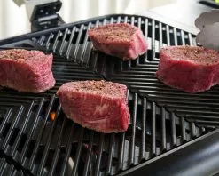 Everdure By Heston Blumenthal FORCE 2 Burner BBQ With Stand 18 Everdure By Heston Blumenthal FORCE 2 Burner BBQ With Stand -Barbeques shop HBG2B 04