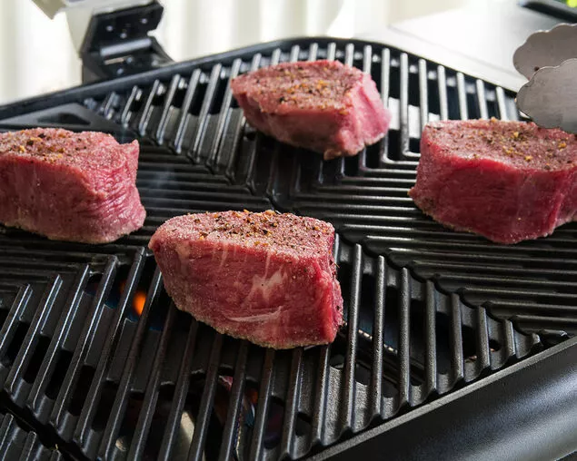 Everdure By Heston Blumenthal FORCE 2 Burner BBQ With Stand 6 Everdure By Heston Blumenthal FORCE 2 Burner BBQ With Stand - Image 6