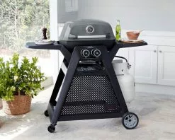 Ziggy By Ziegler And Brown Ziggy Elite Twin Grill LPG BBQ On Cart 12 Ziggy By Ziegler And Brown Ziggy Elite Twin Grill LPG BBQ On Cart -Barbeques shop ZGTGEPLUS 02