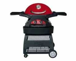Ziggy By Ziegler And Brown Ziggy Classic Twin Grill LPG BBQ On Cart