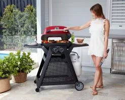 Ziggy By Ziegler And Brown Ziggy Elite Twin Grill LPG BBQ On Cart 19 Ziggy By Ziegler And Brown Ziggy Elite Twin Grill LPG BBQ On Cart -Barbeques shop ZGTGREPLUS 07